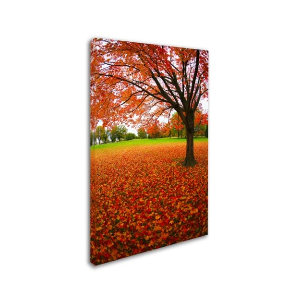 CATeyes 'Autumn Expressions' Canvas Art,12x19